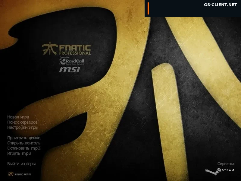 Counter-Strike 1.6 Fnatic
