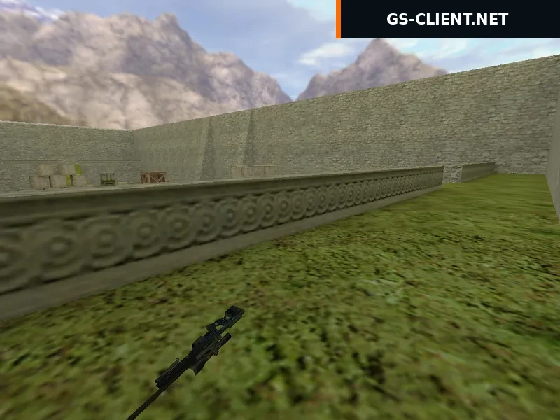 aim_headshot