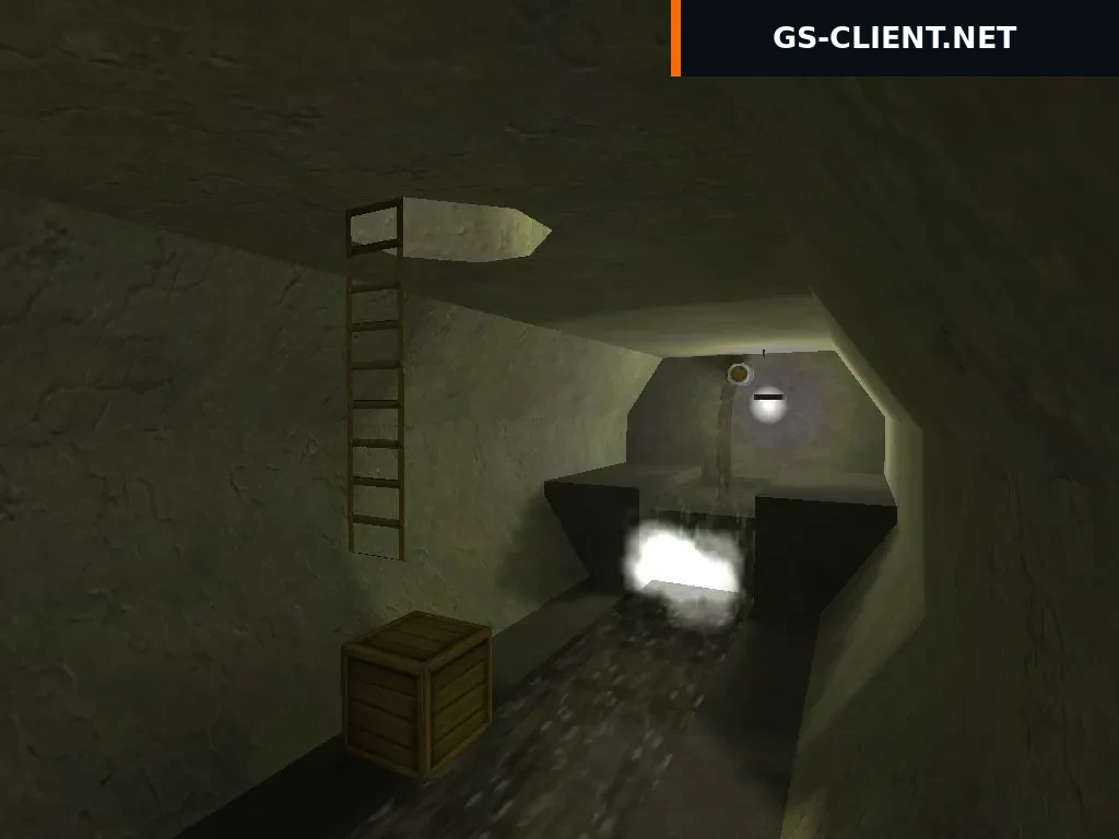 aim_cloaca