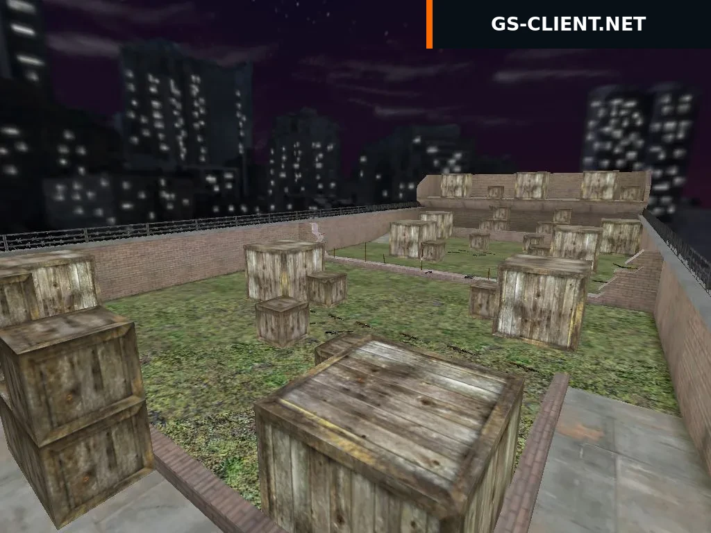 aim_lionn