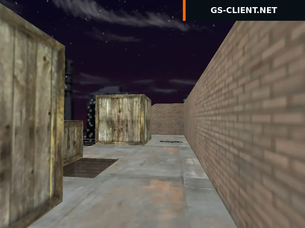aim_lionn