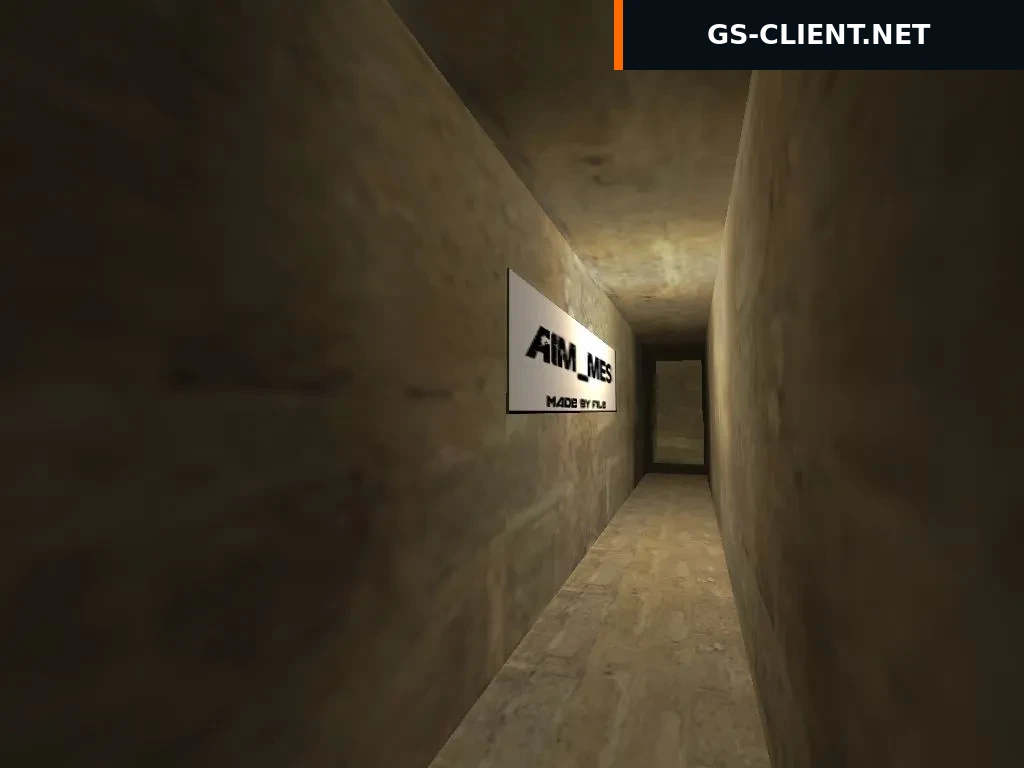 aim_mes