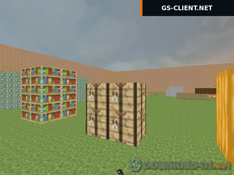 aim_minecraft2