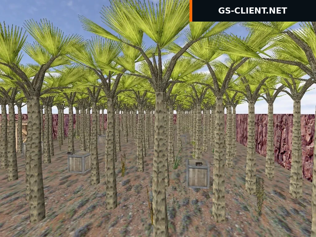 aim_tropical