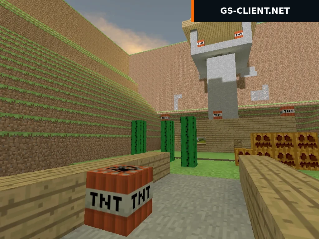 awp_minecraft2