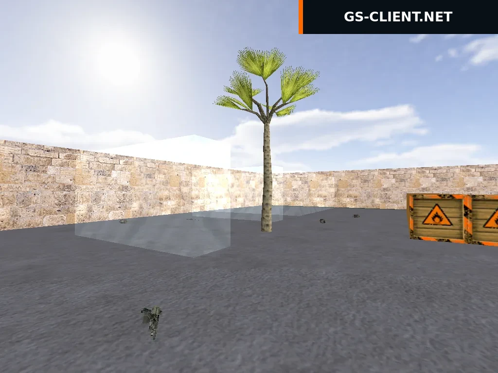 cs_crazy