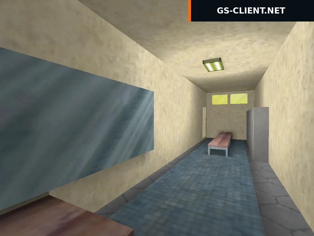 cs_pulahdus