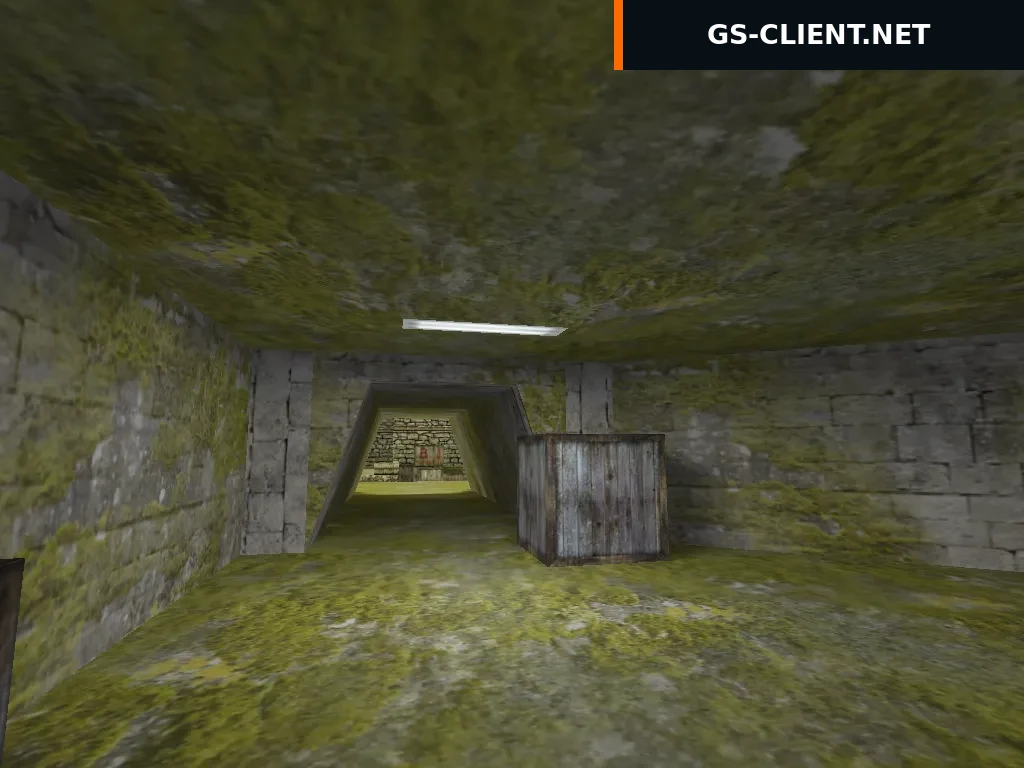 de_najser