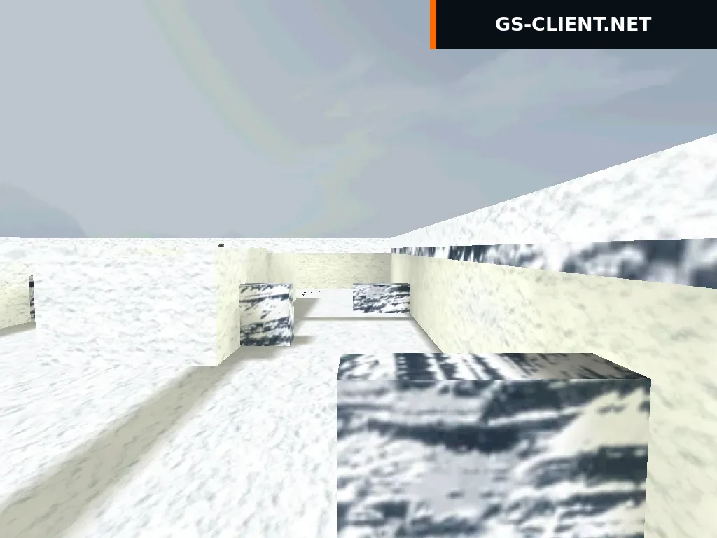 fy_snowmax2011