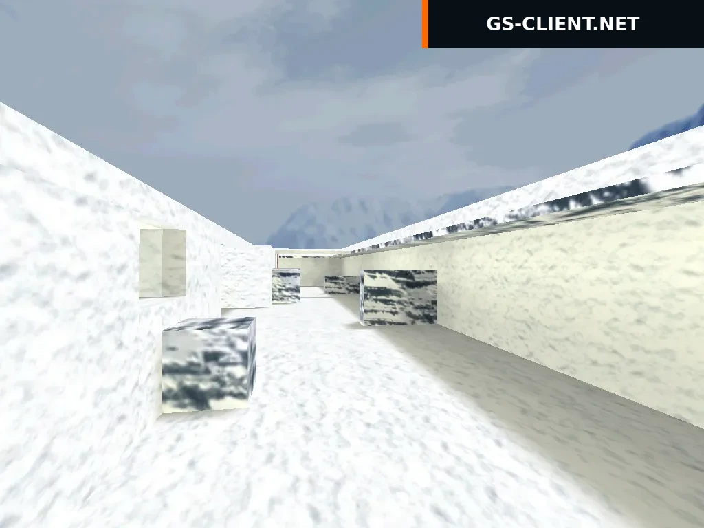 fy_snowmax2011
