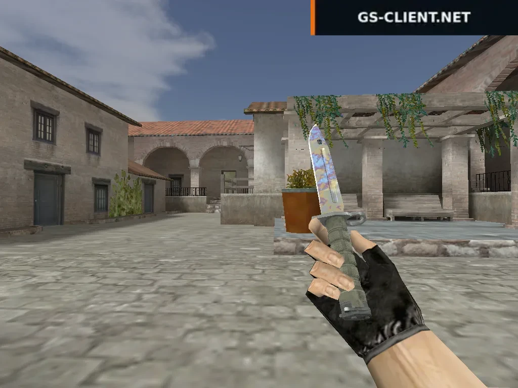Bayonet | Case Hardened