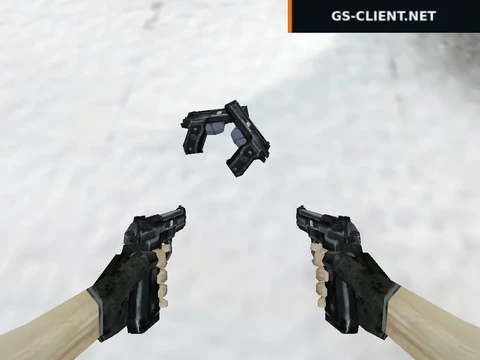 Black Dual Elites