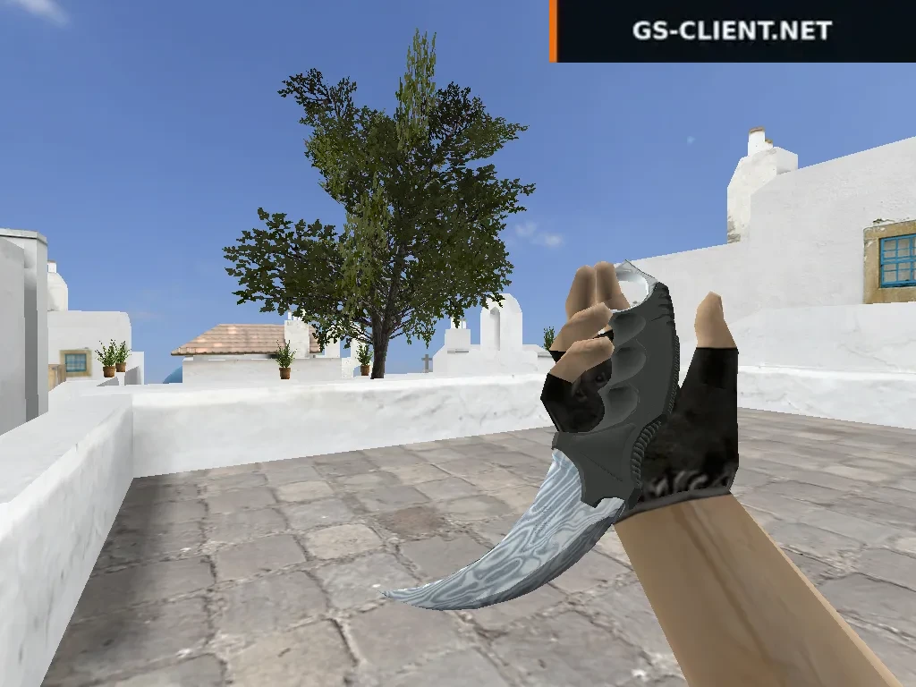 HD Karambit | Damasсus Steel