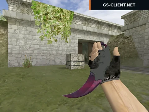 HD Karambit | Waves Phase 2
