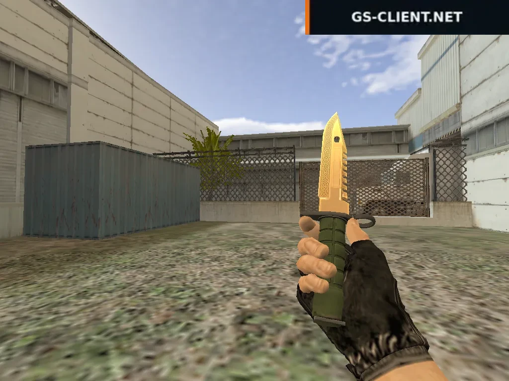 HD M9 Bayonet Lore