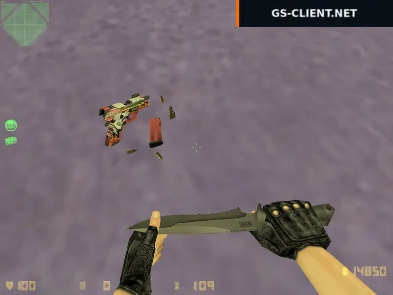 HD P250 Aim Killer