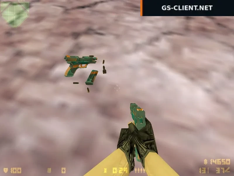 HD P250 Aquaique