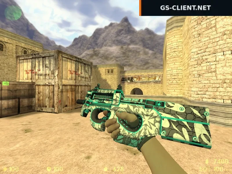 HD P90 Frontside Misty