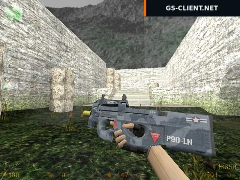HD P90 Liberty