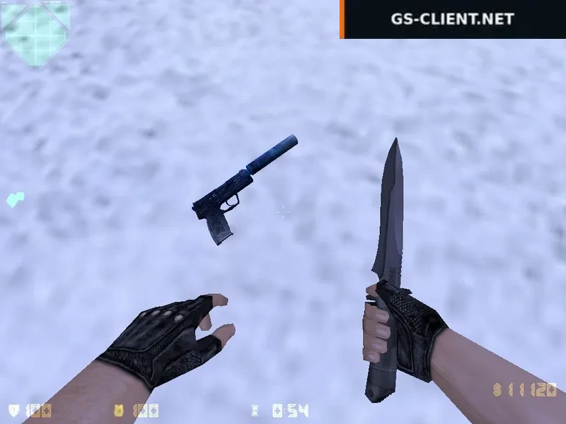 HD USP Frostbite
