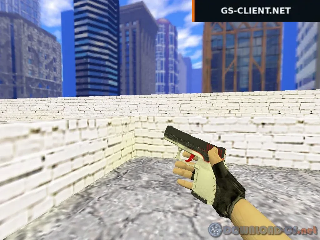 P250 Commander